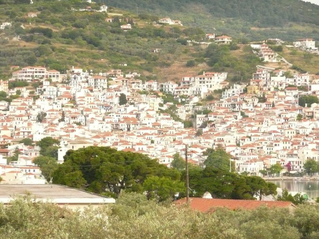 Filoxenia Apartment Skopelos Town Exterior photo