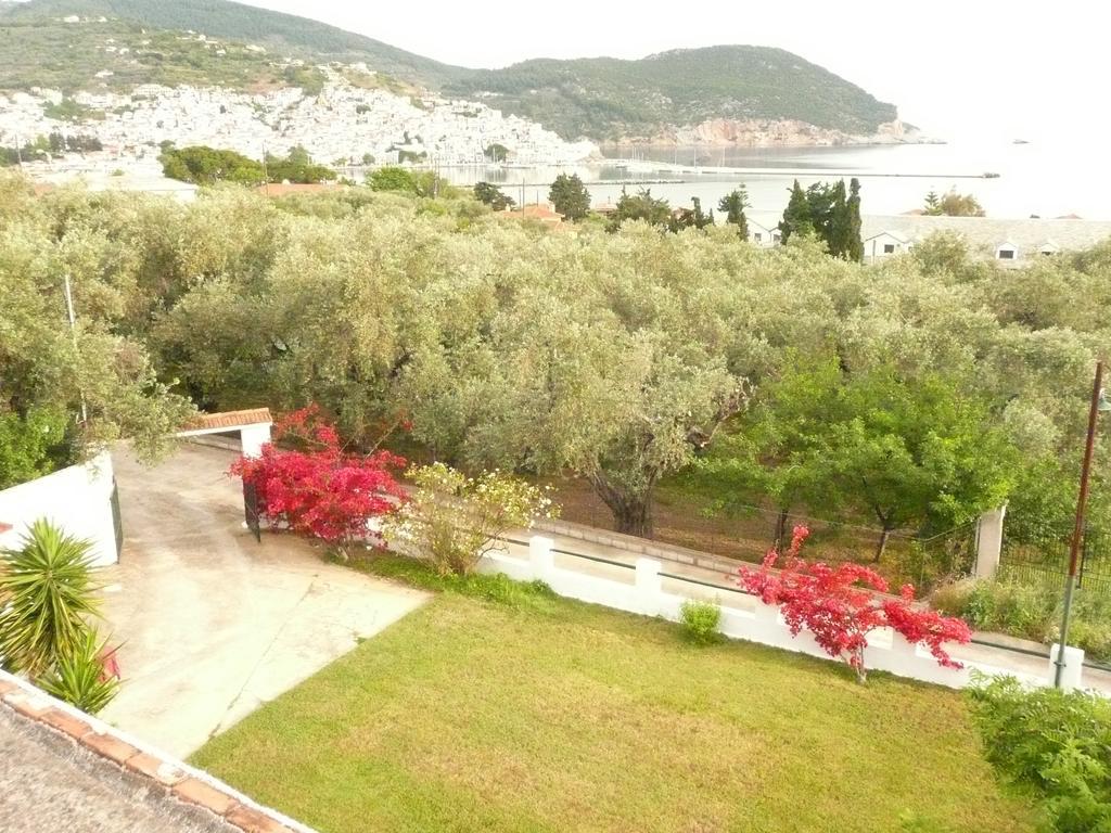 Filoxenia Apartment Skopelos Town Exterior photo